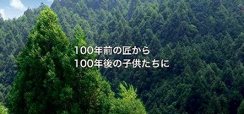 100NȌ